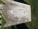 image of grave number 883682